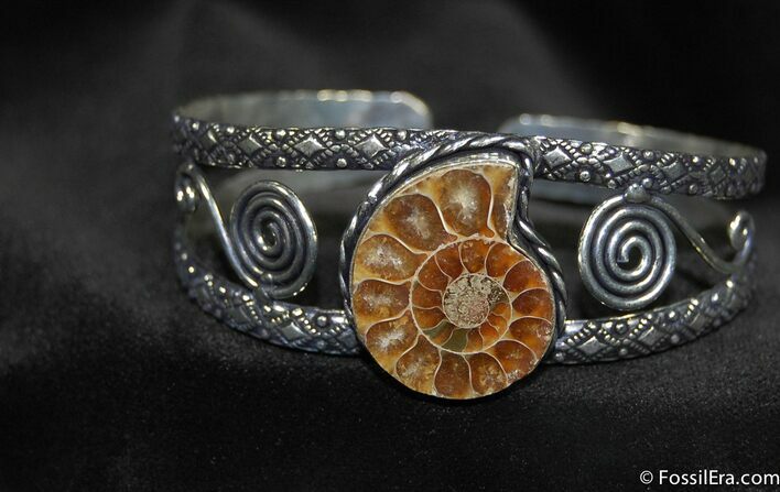 Ammonite Bracelet #647